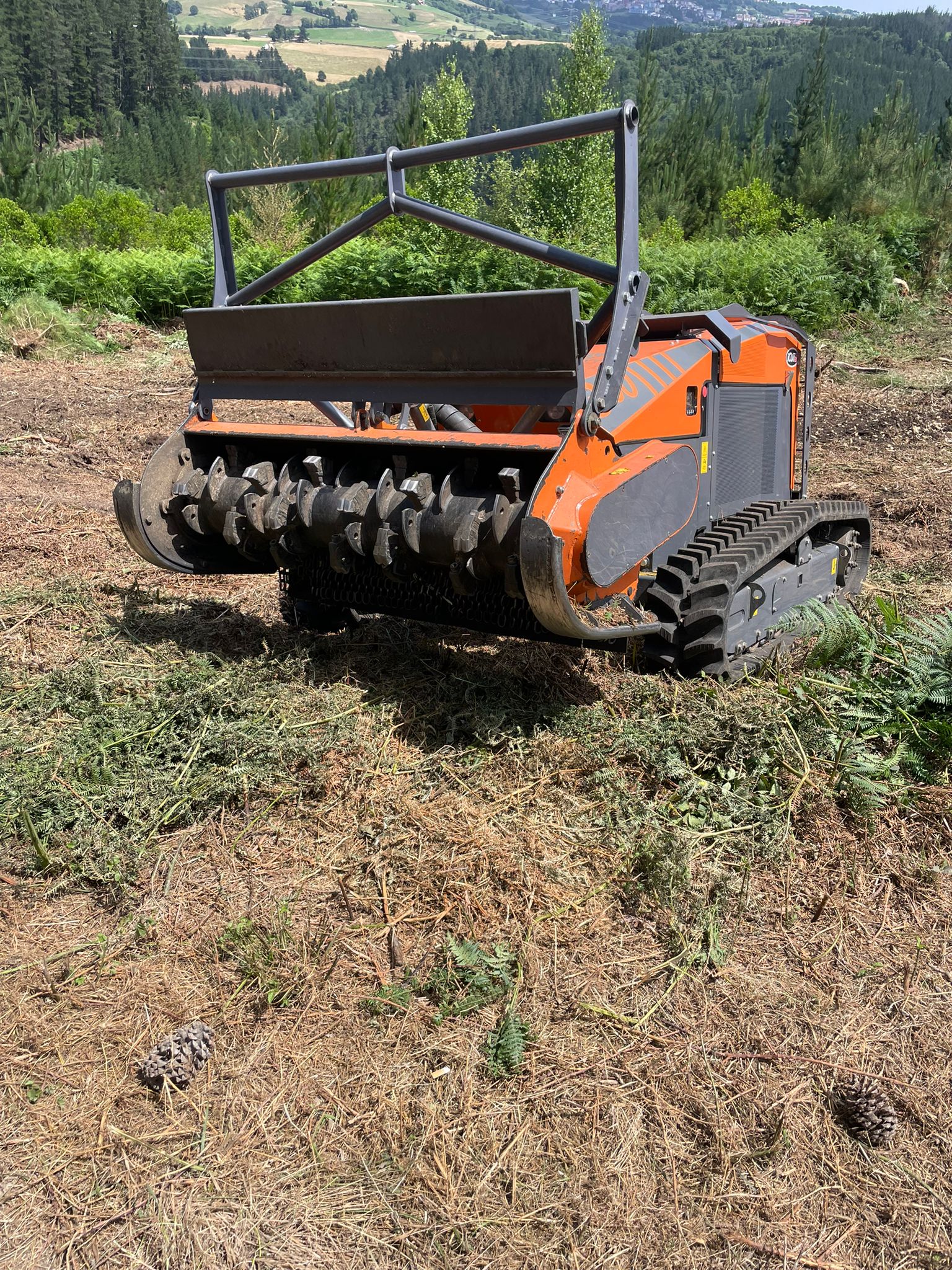 whatsapp image 2025 07 05 at 21.32.47 (2)