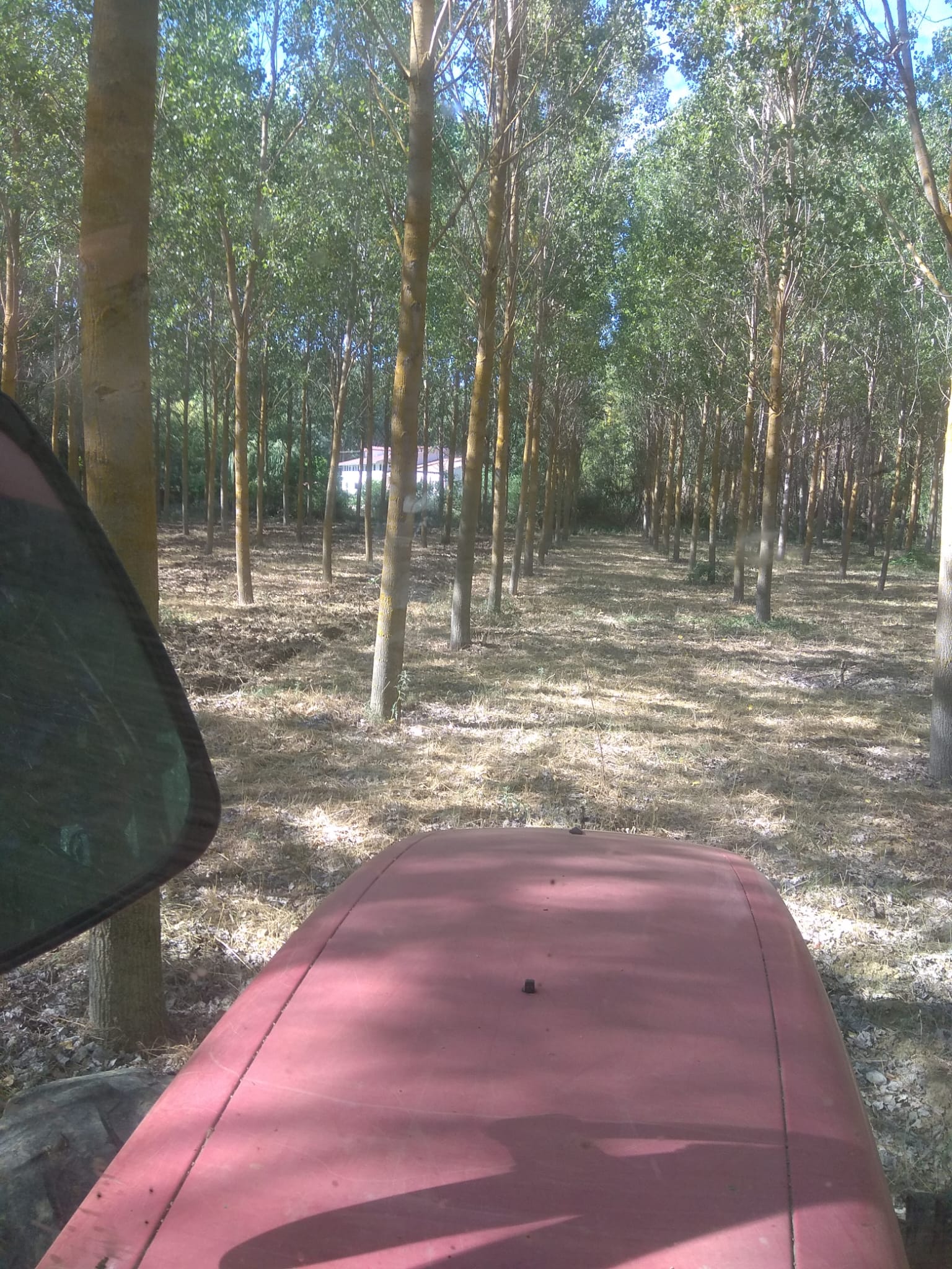 whatsapp image 2025 07 06 at 17.39.16 (1)